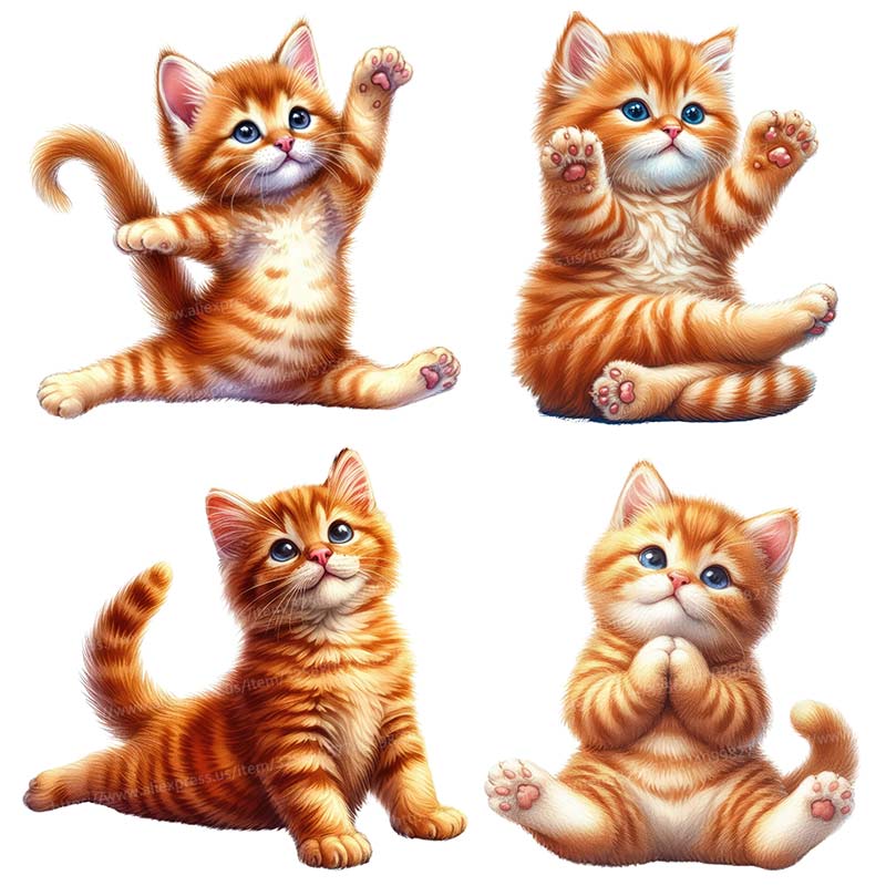 Yoga Cat  Wall Sticker Removab - Home Office Yoga Room 리뷰 및 가격
