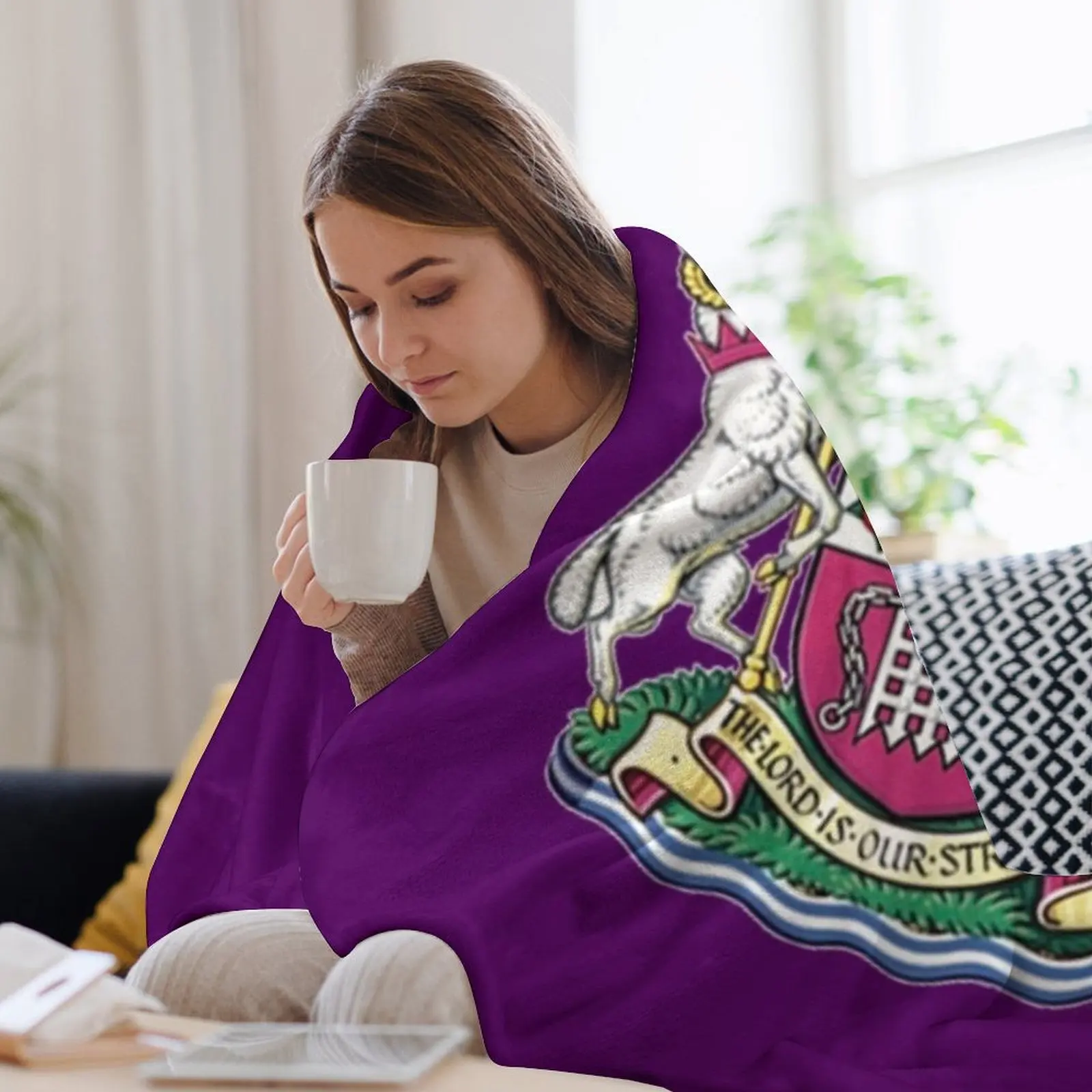 Westminster of icon Throw Blan - Home Office Westminster 리뷰 및 가격